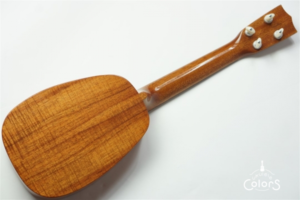 HK-PL 1st Anniversary